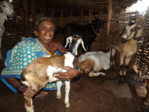 Beneficiary-with-her-goats-scaled.jpg
