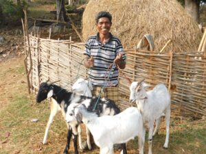 Kunjabadi-Goat-project-min-scaled.jpg